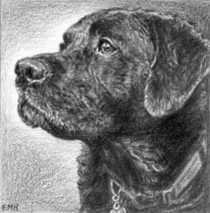 Top Dog Art
