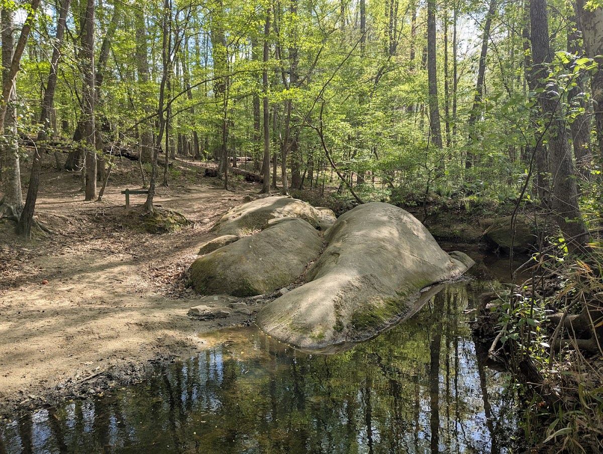 Whale Rocks at Durant Nature Preserve