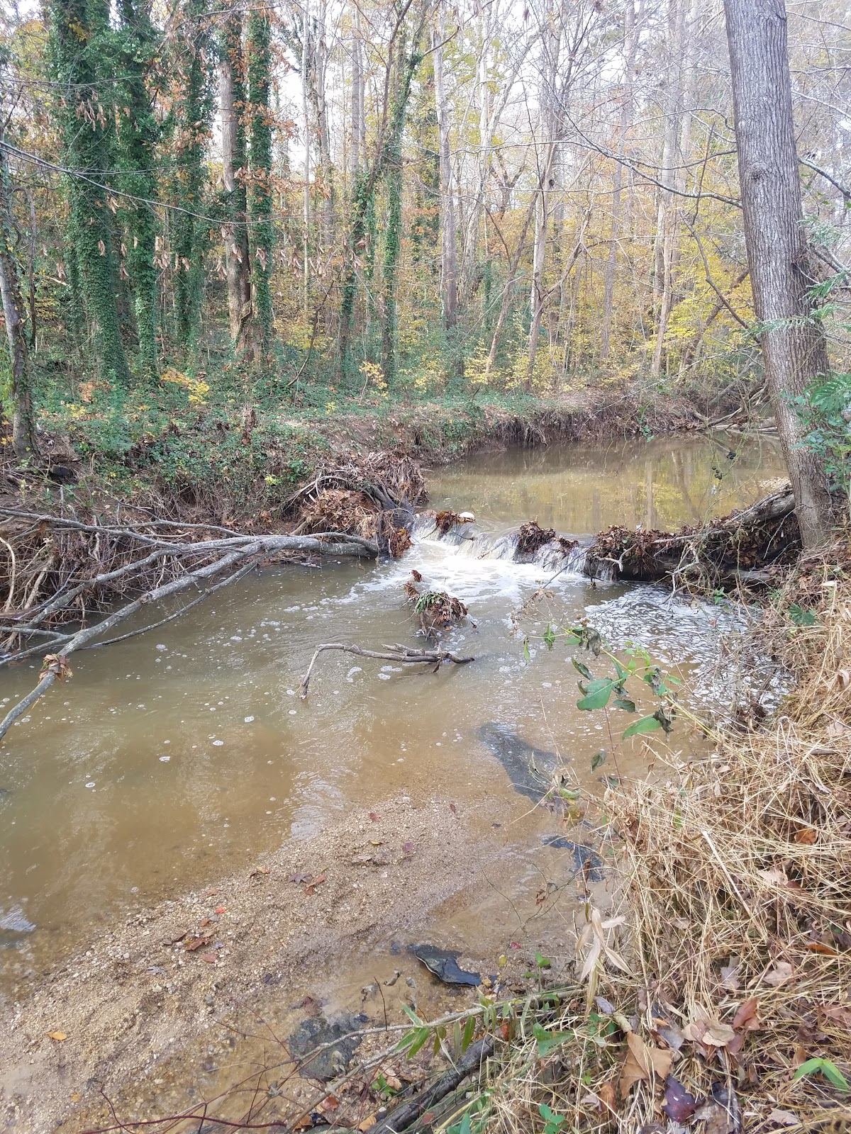 Wooten Meadow Park