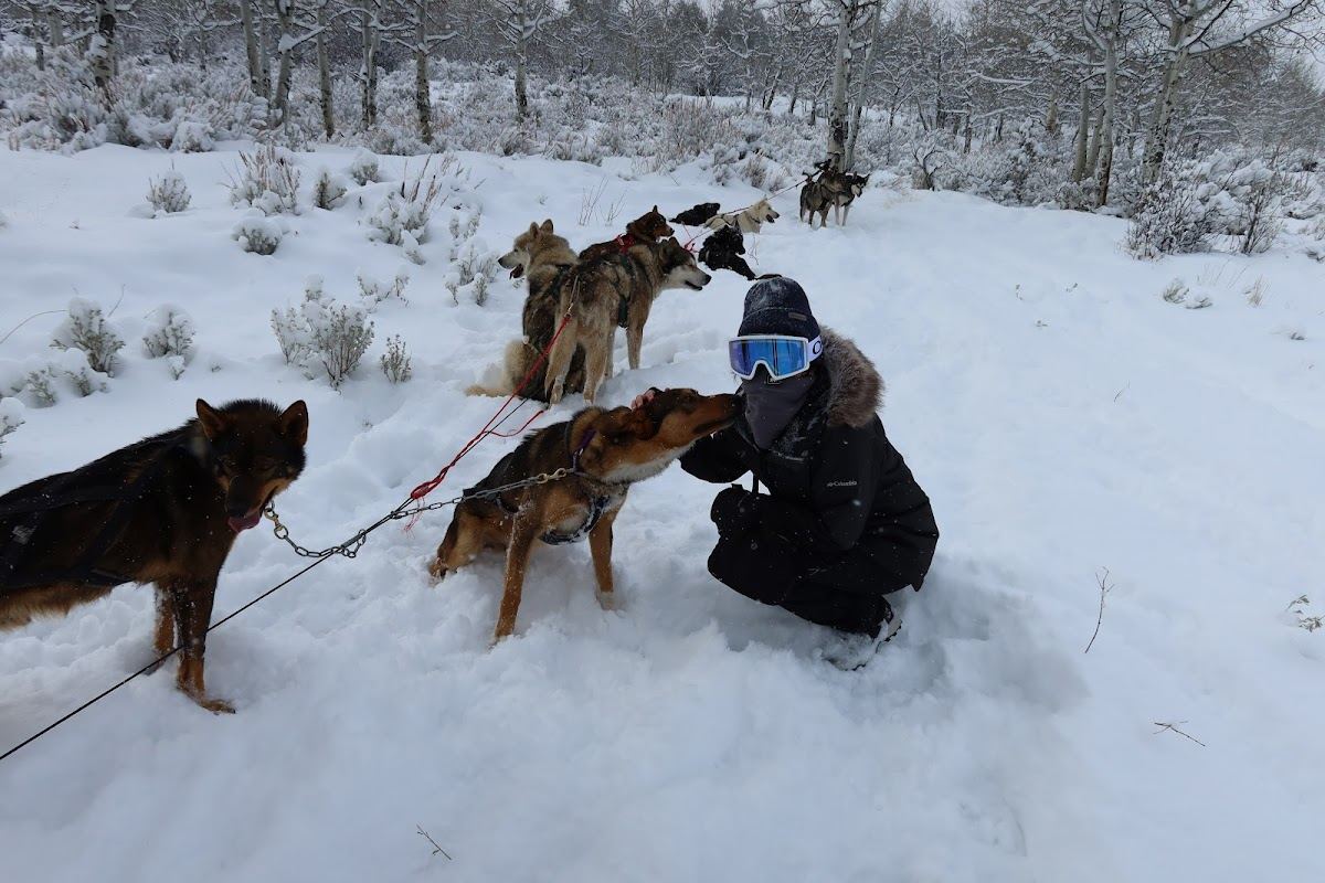 Mountain Musher