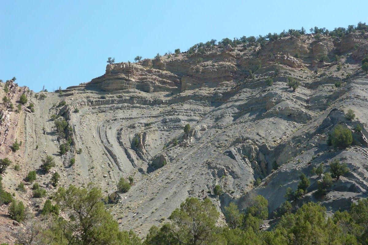 Sweetwater Fold