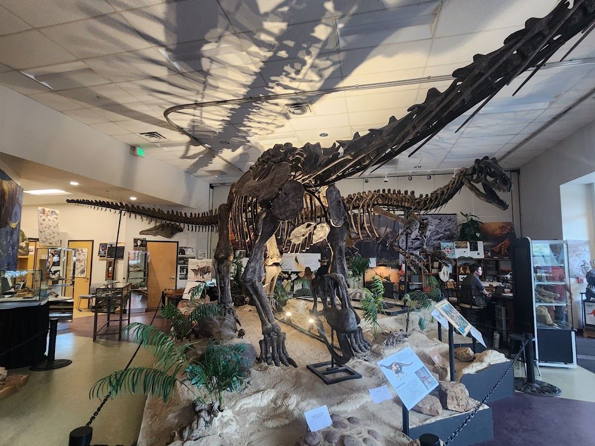 The Museum at Dinosaur Junction