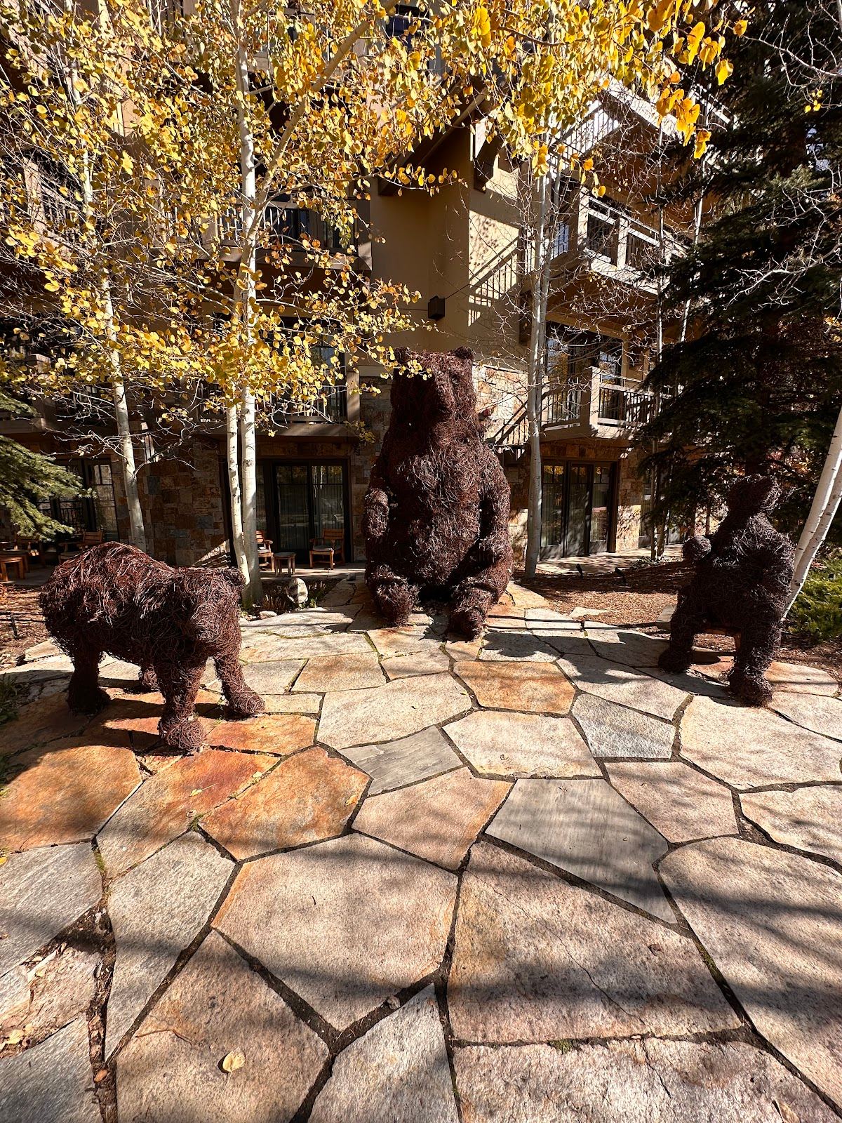 The Vail Bears