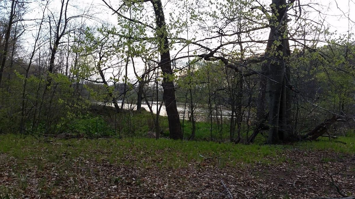 Fine Park