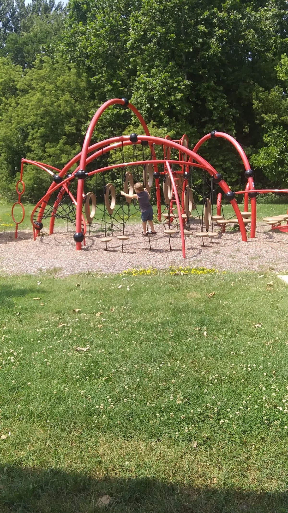 Maguire Park