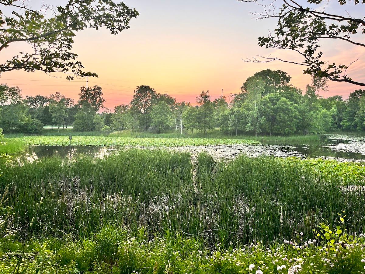 Tollgate Wetlands