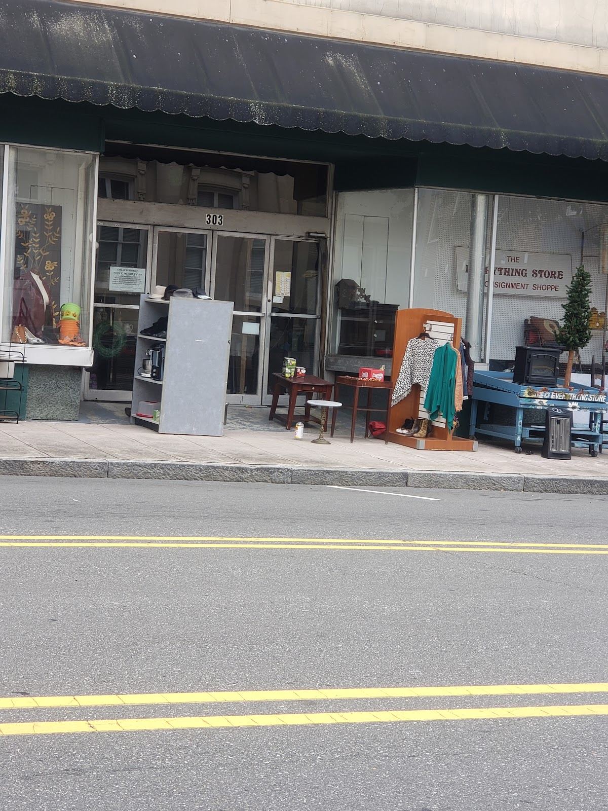 The Everything Store