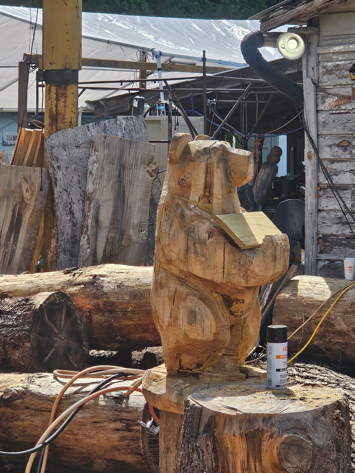 Big Bear Chainsaw Carving