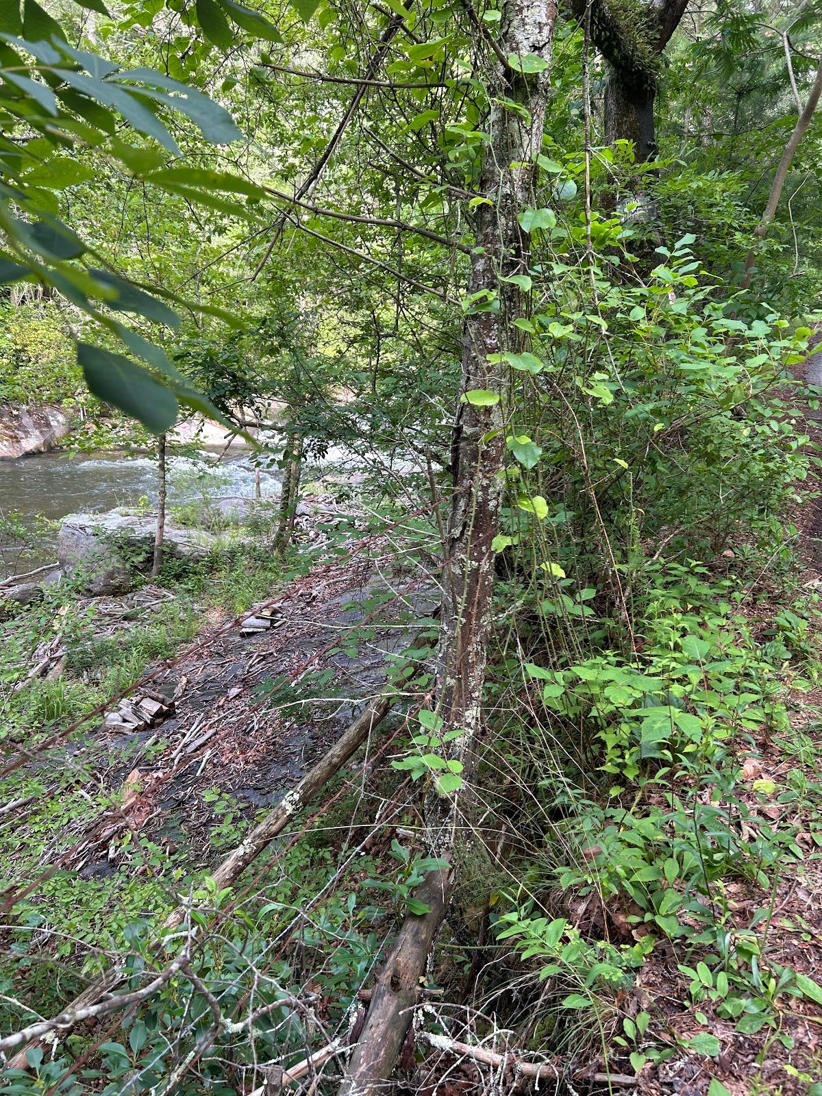 Blythe Shoals Falls