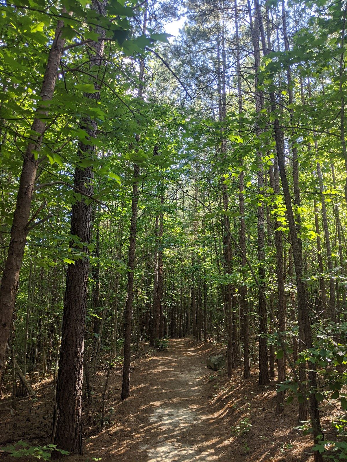 Chestnut Ridge Heritage Preserve/ Wildlife Management Area