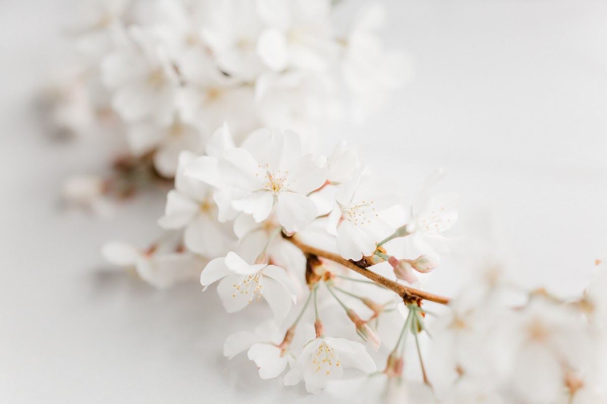 Elevate Aesthetic Medicine