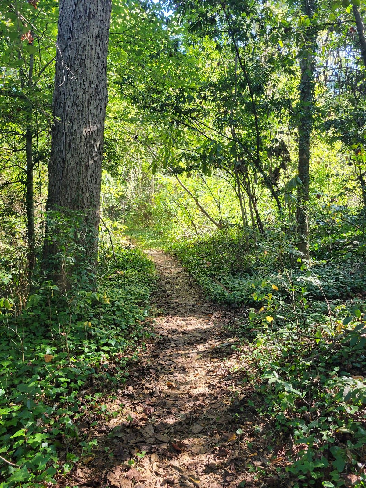 Fernwood Nature Trail