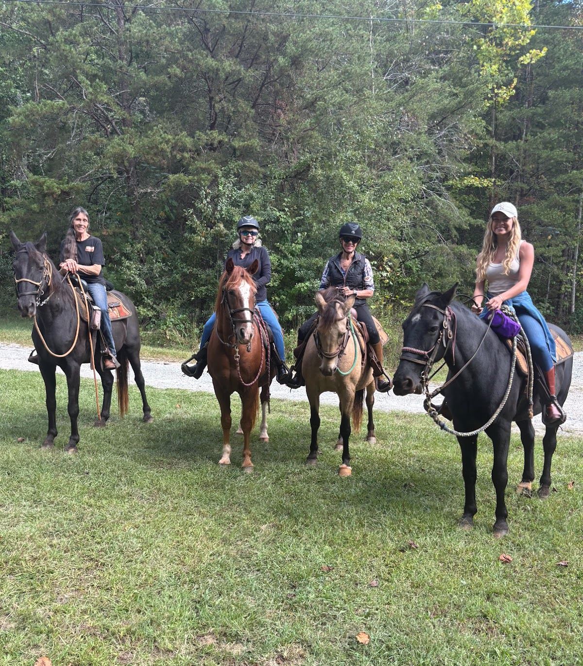 Horseback Waterfall Tours