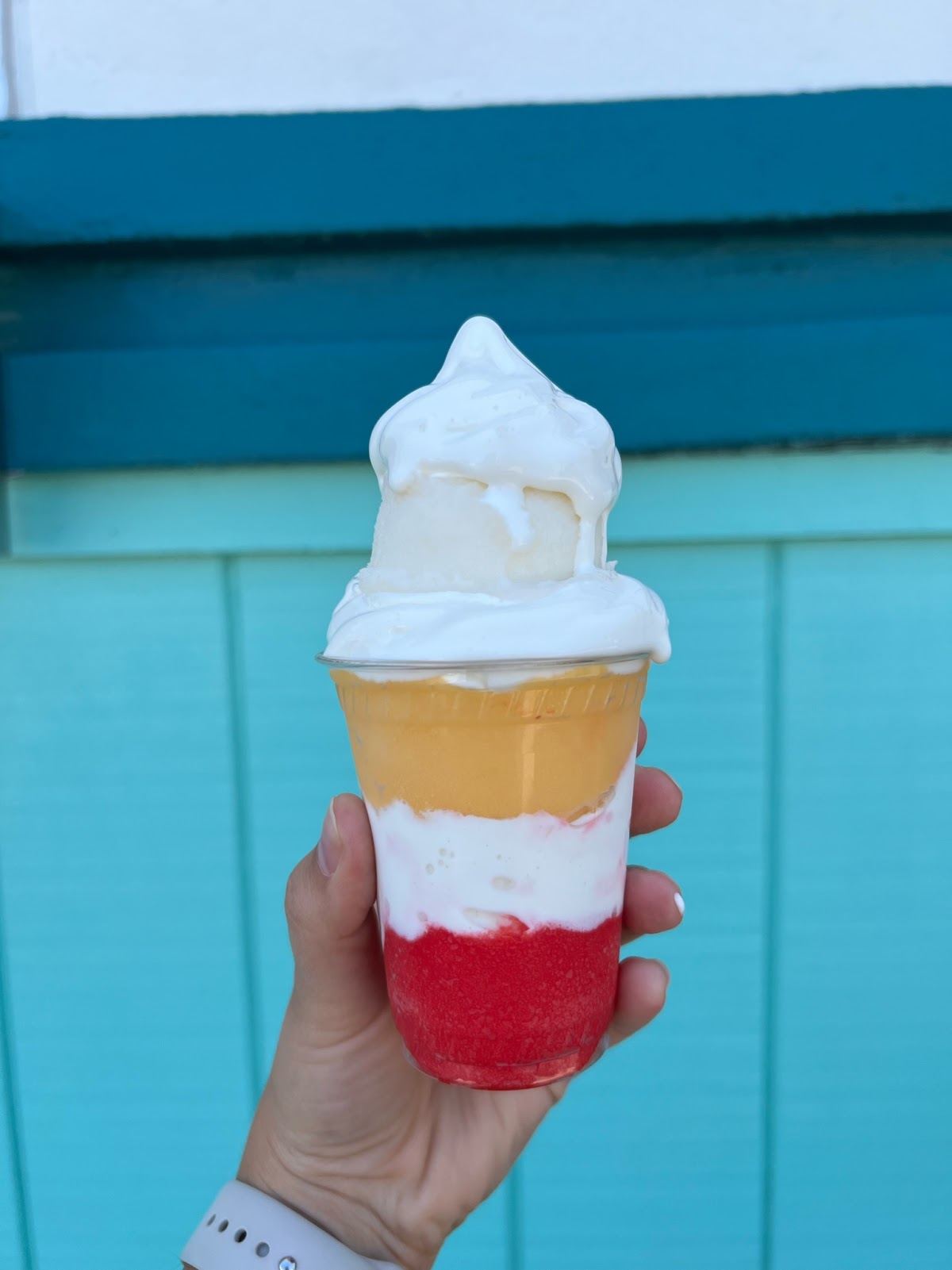 Houni's Italian Ice