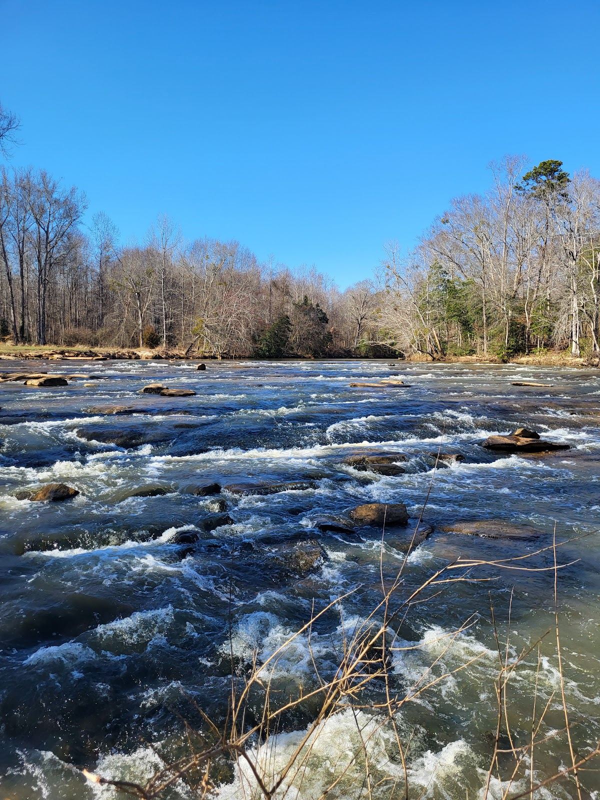 Log Shoals Bridge