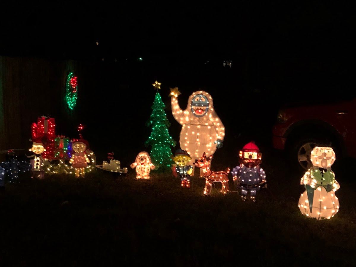 Peck Family Christmas Lights