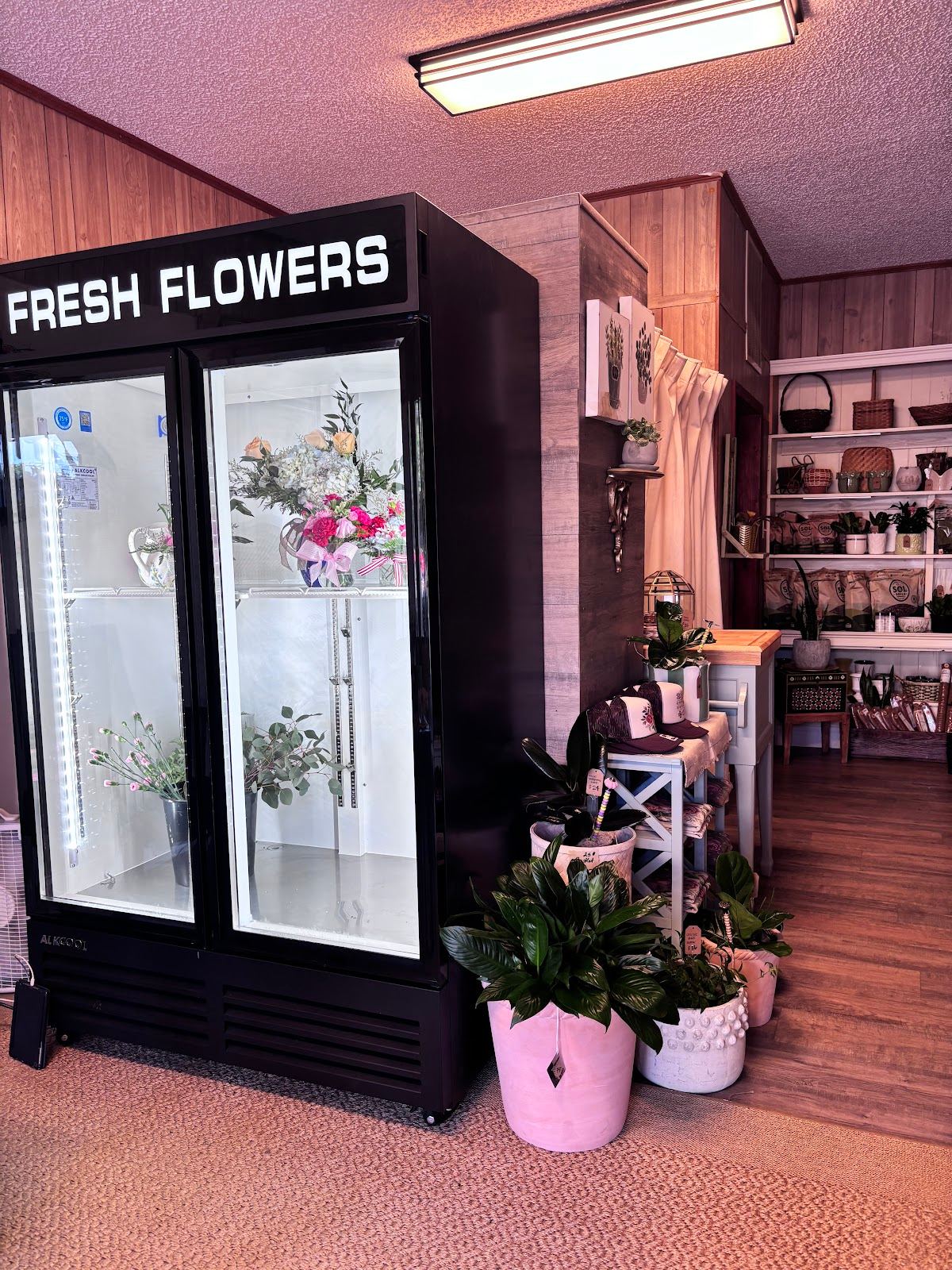 PeOnies and Plants on Main