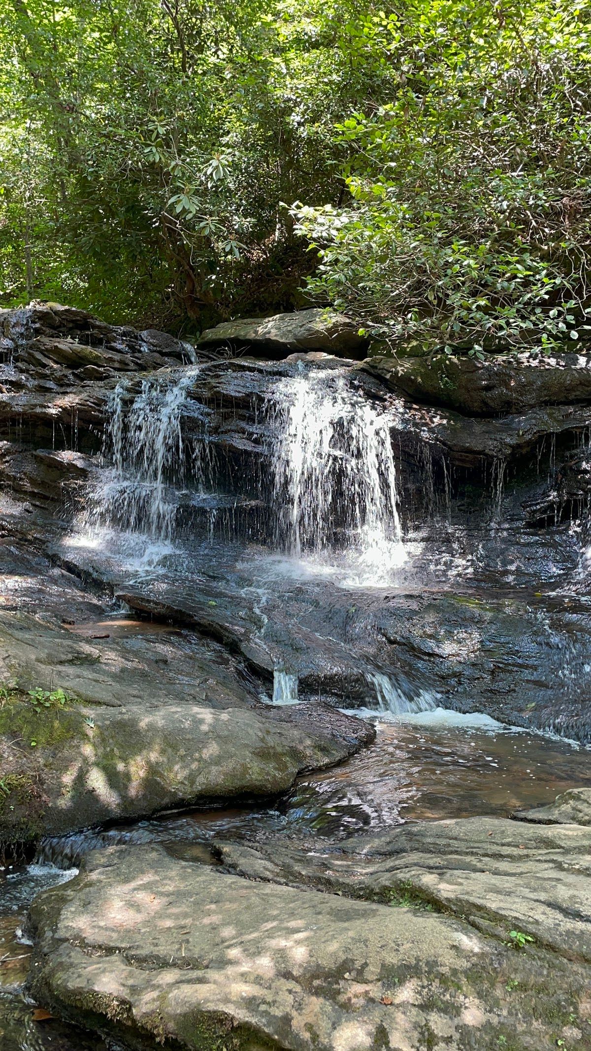 Pleasant Ridge Falls