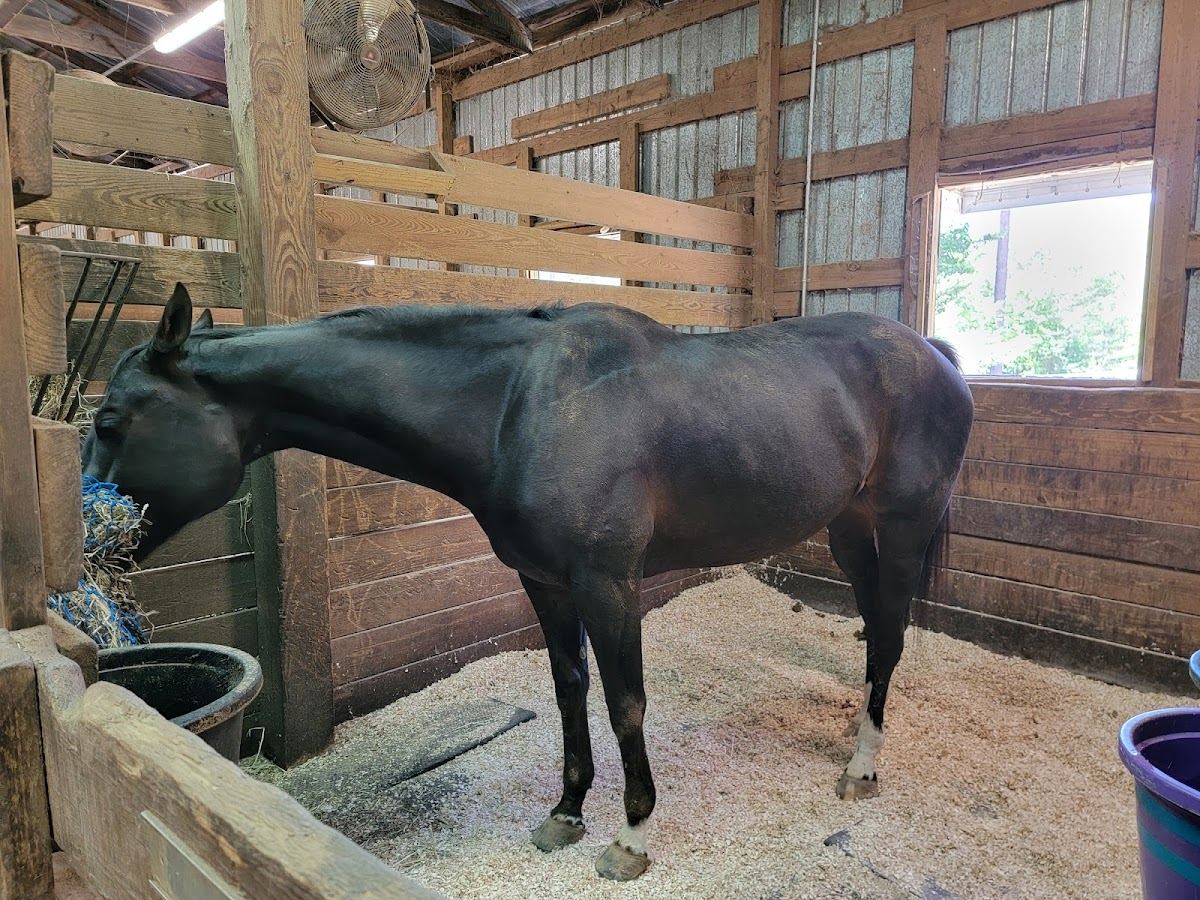 Riverbend Equestrian Park