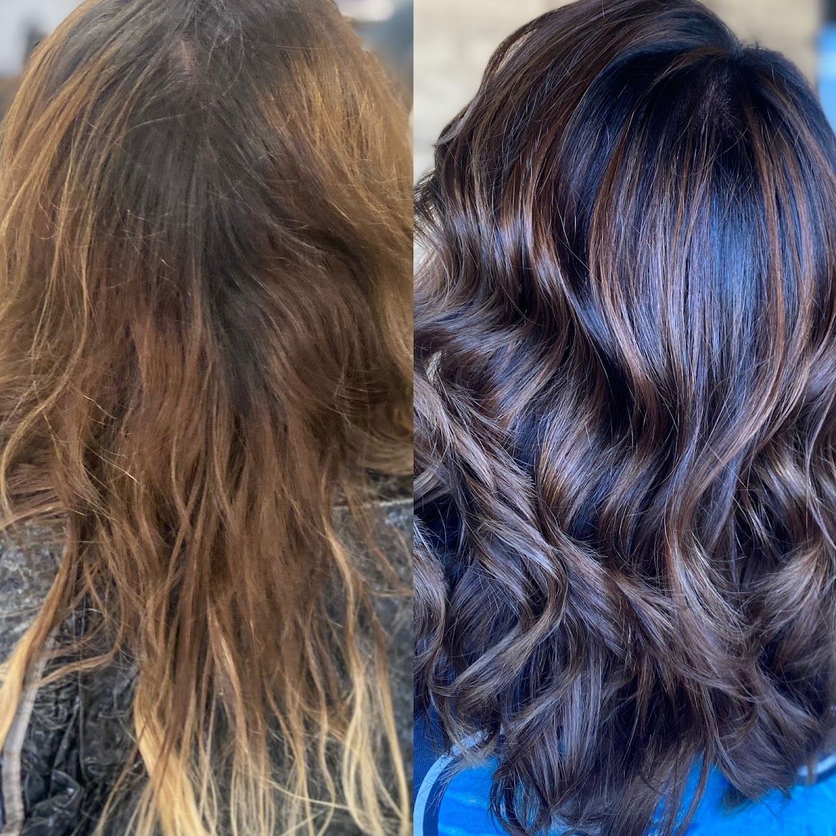 Shear 'n Dipity Color Salon