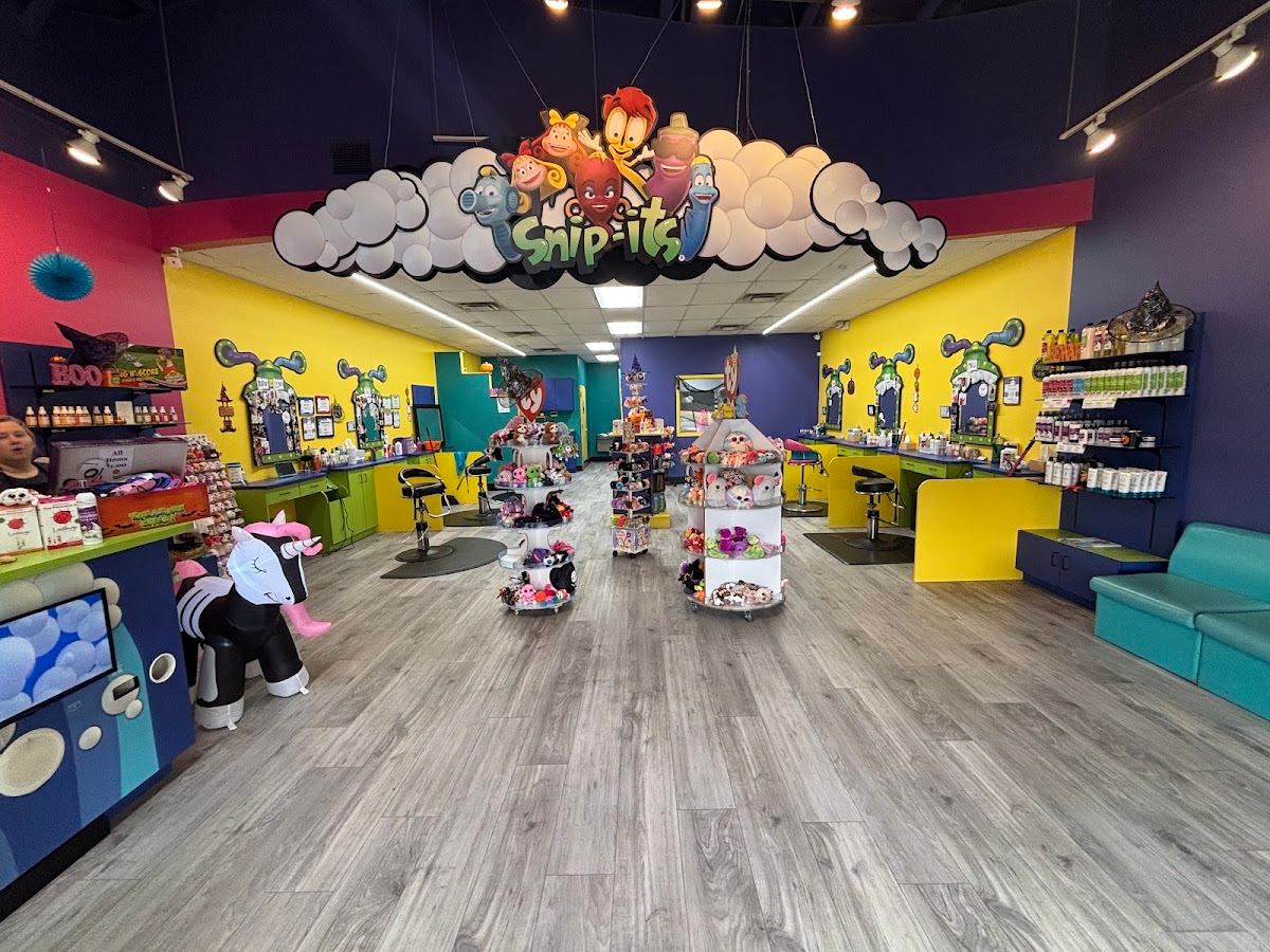 Snip-its Haircuts for Kids