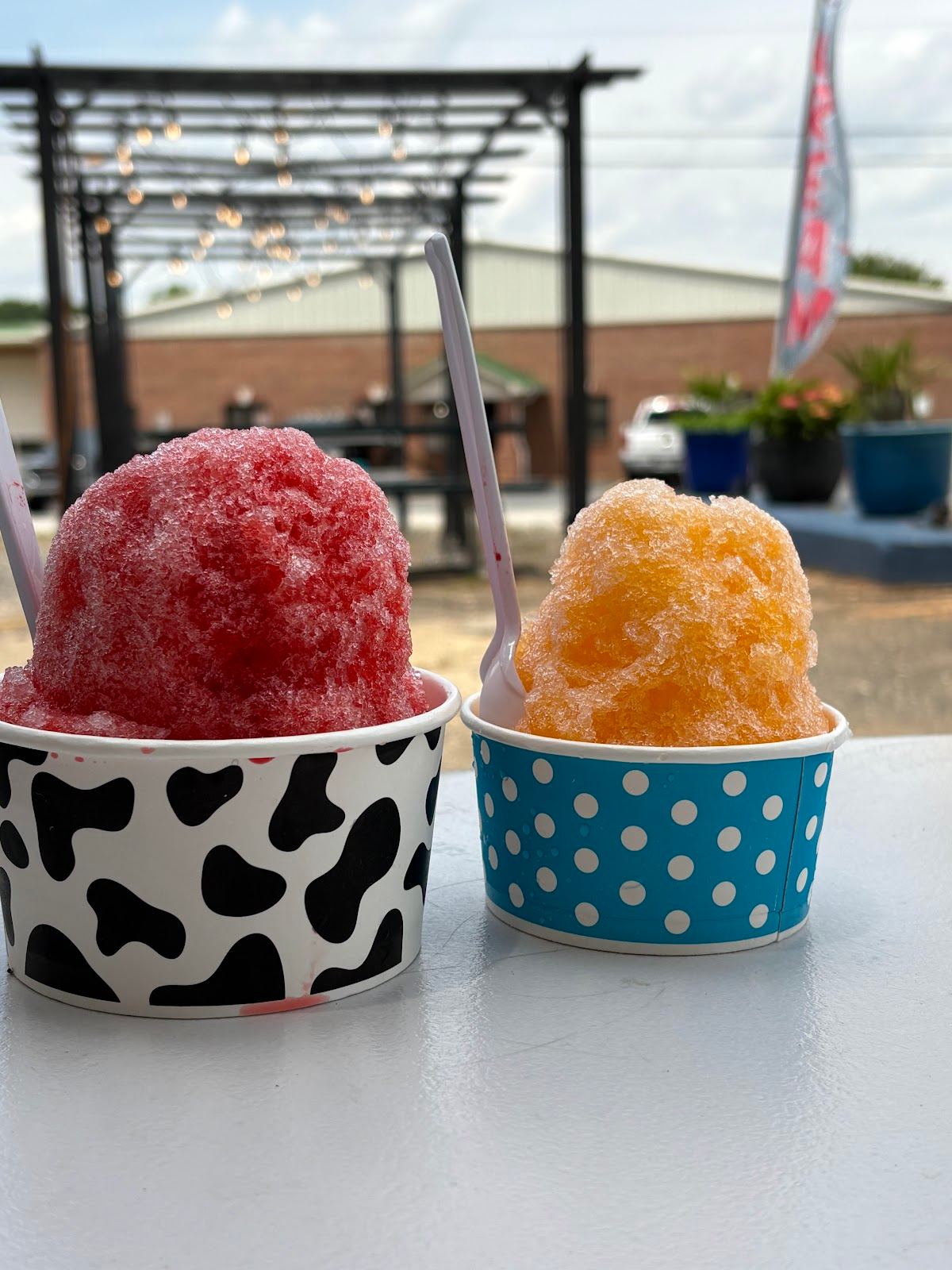 Southern Sno