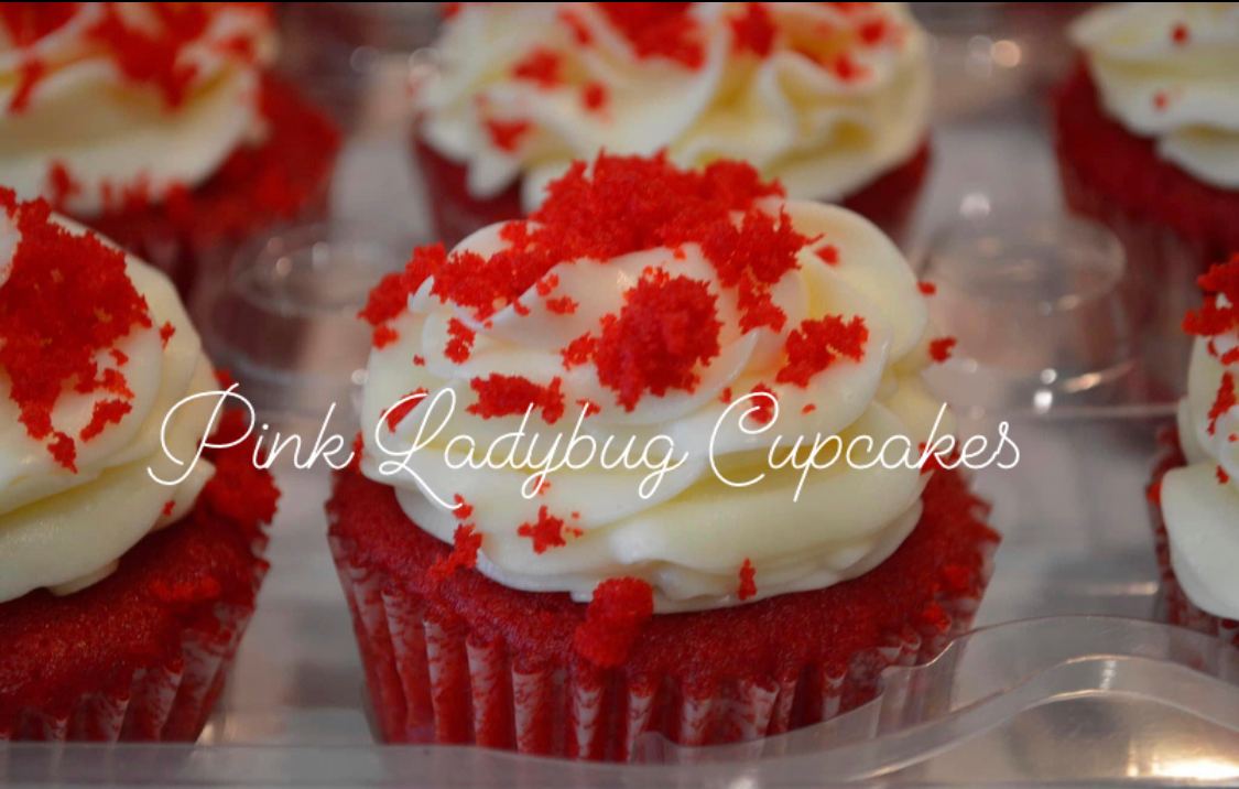 The Pink Ladybug Cupcakes