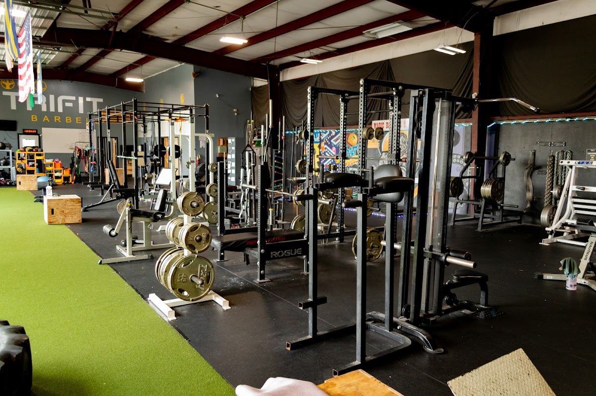 TriFit