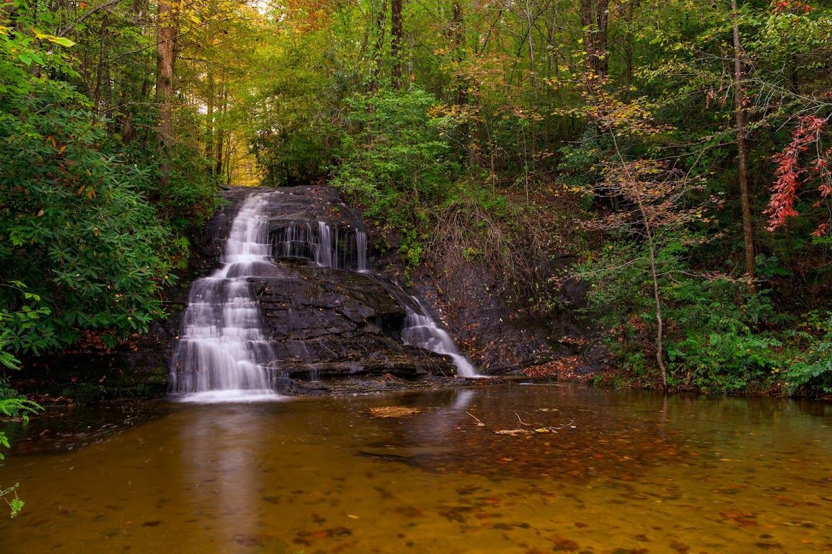 Wildcat Branch Falls