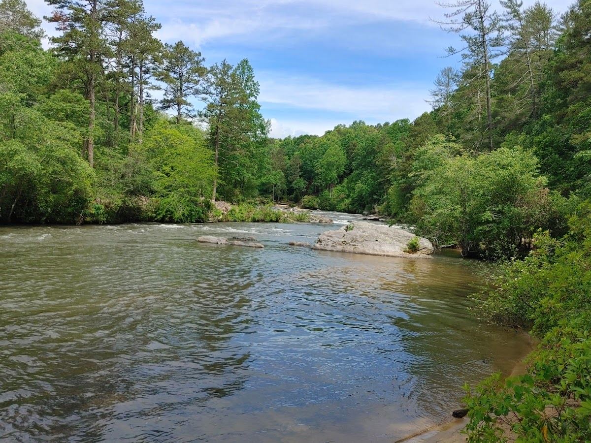 Buck Shoals Wildlife Management Area