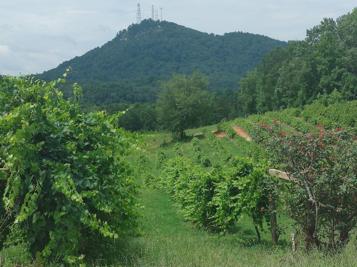 Currahee Vineyard & Winery