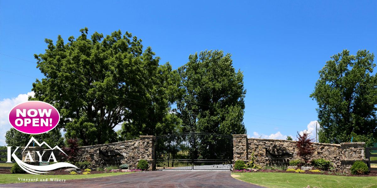 Kaya Vineyard & Winery
