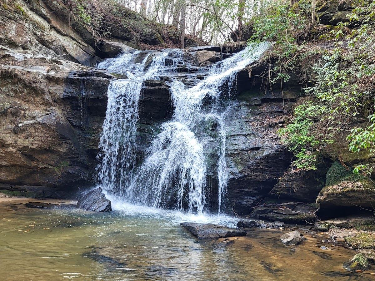 Lake Russell State Wildlife Management Area