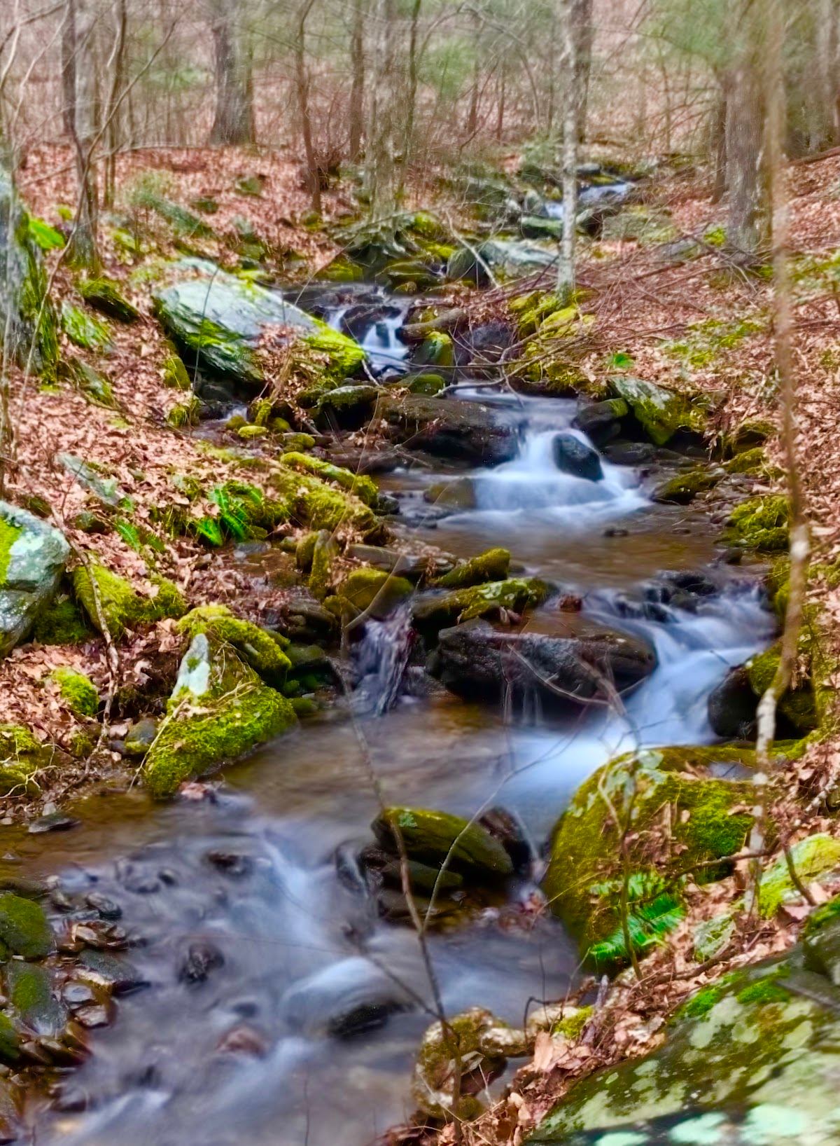 Logan Turnpike Trail
