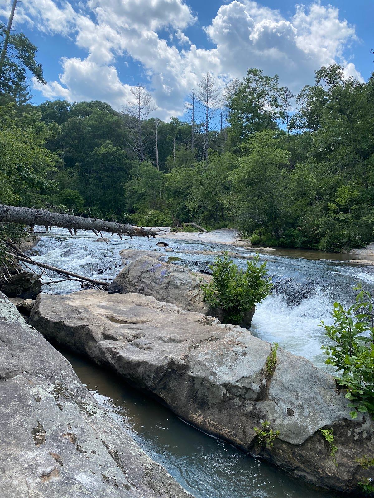 Mossy Creek Recreation Area