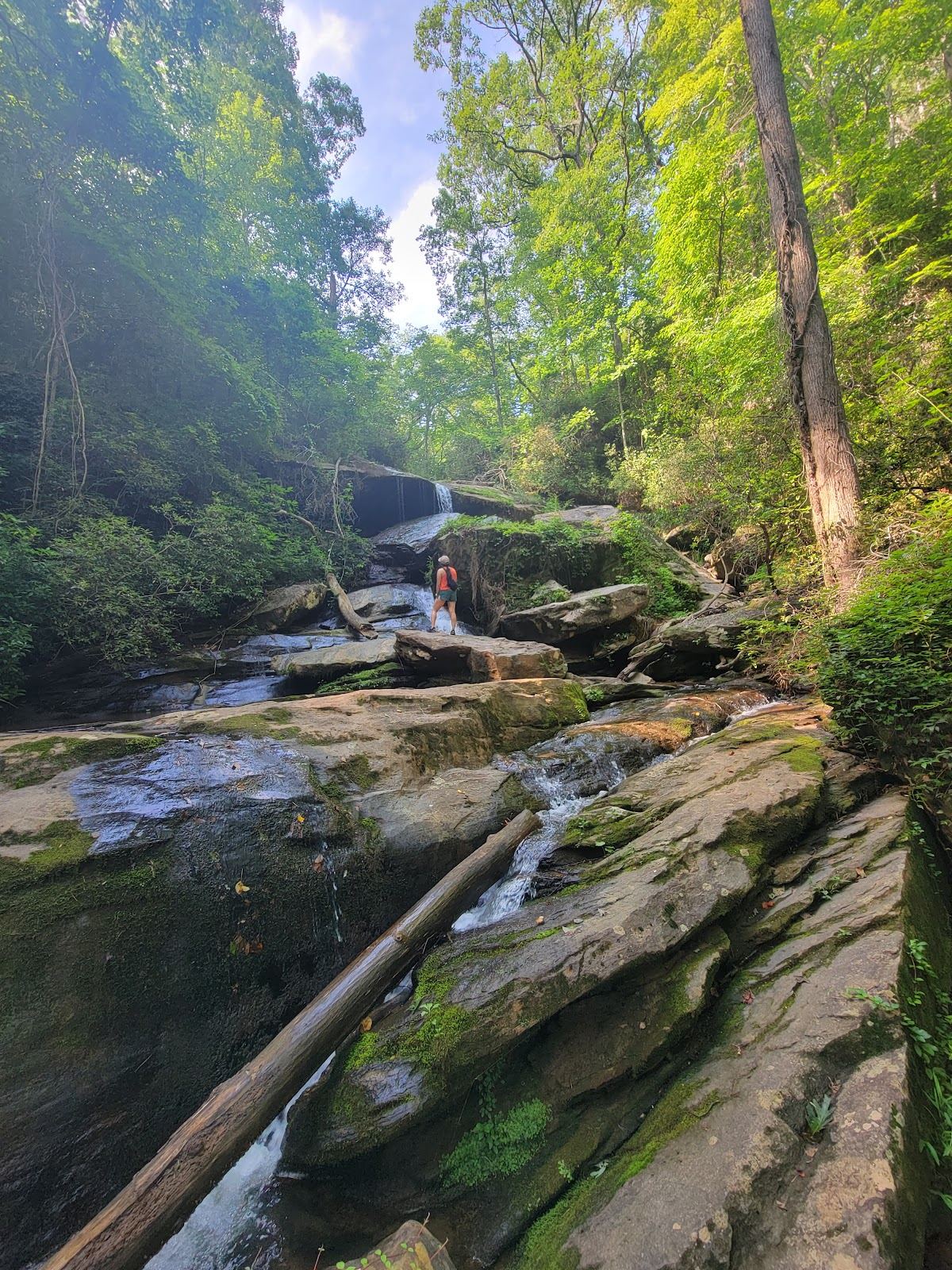 Nancy Town Falls