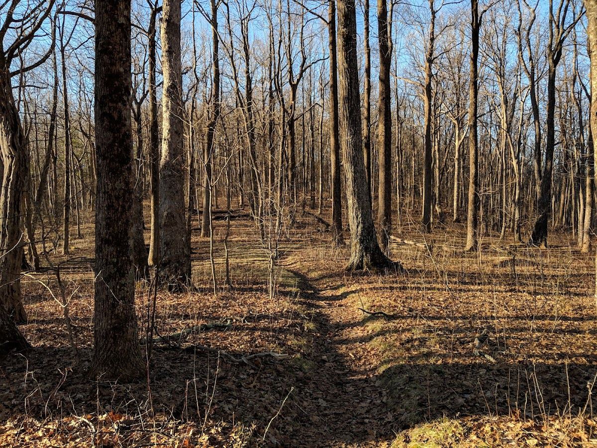 Raven Cliffs Wilderness
