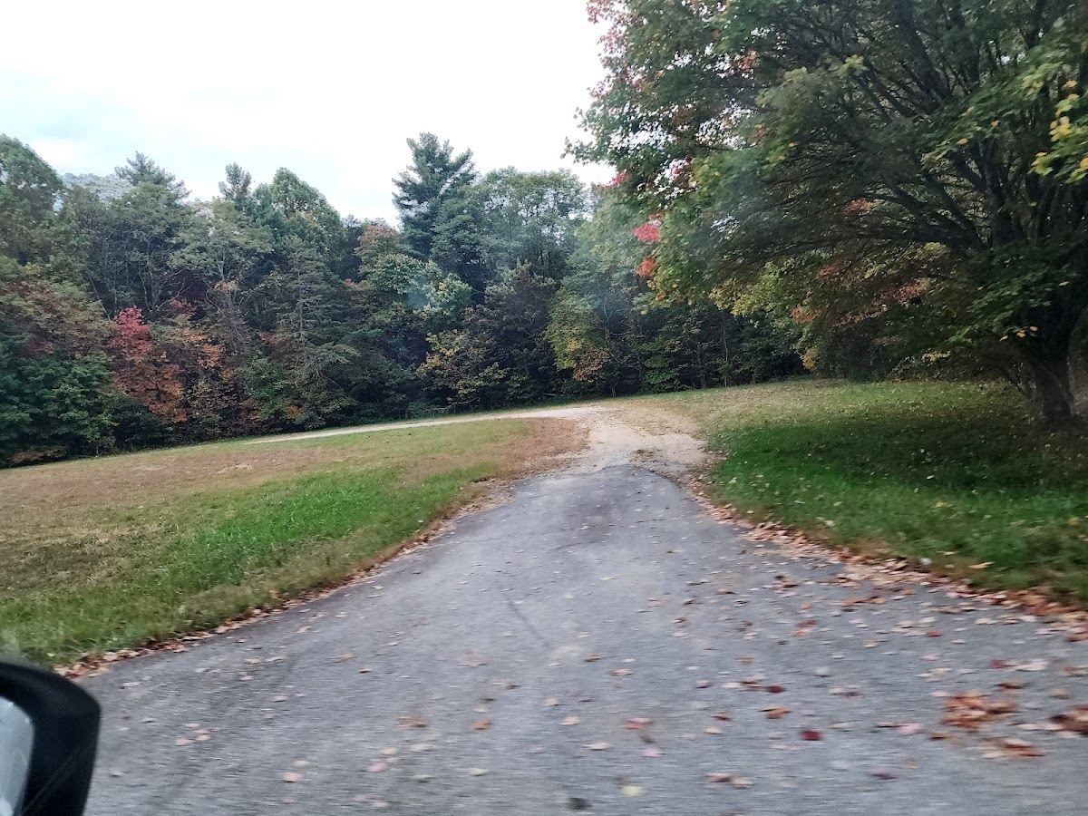 RBR Hogpen - Surya Loop