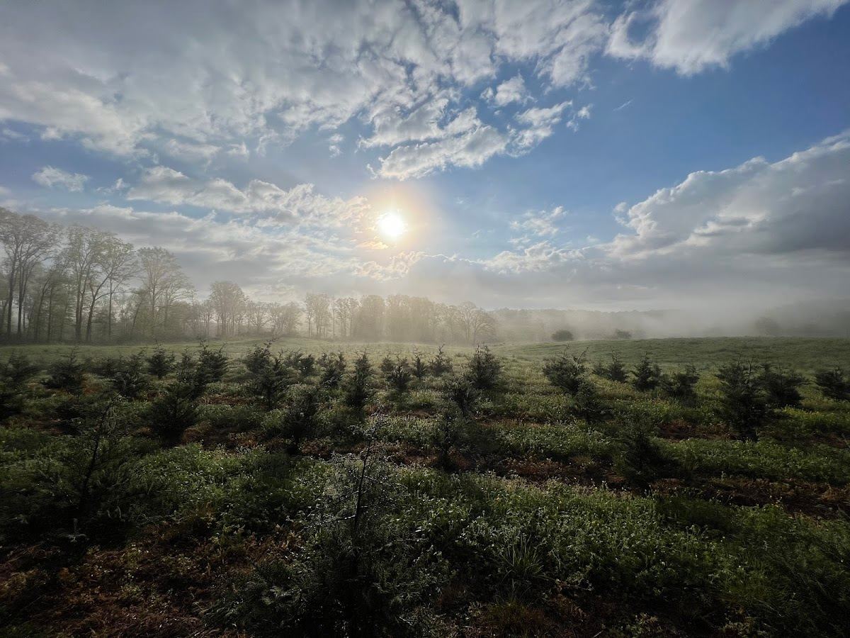 Savage Farms of Clermont