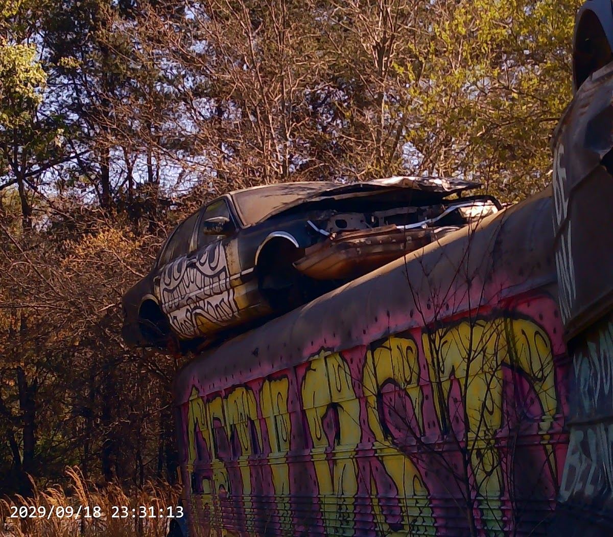 School Bus Graveyard