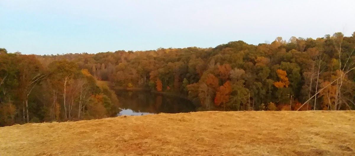 Sunset Ridge Farm