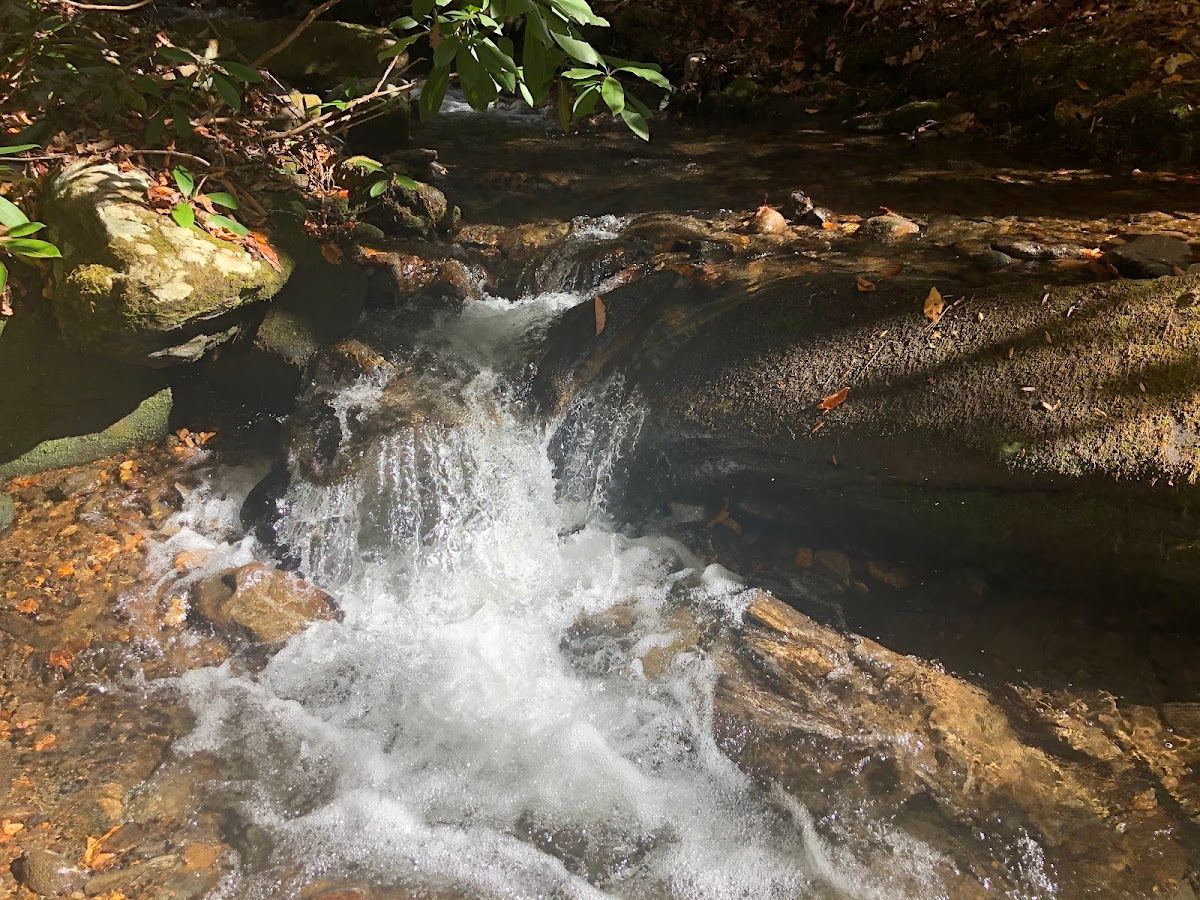 Swallow Creek Wildlife Management Area