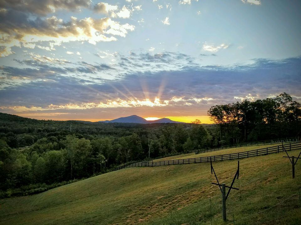 The Cottage Vineyard & Winery