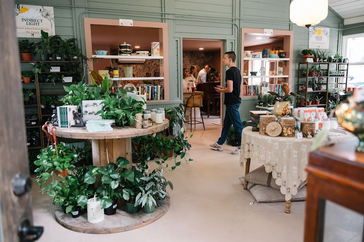 The Plantique Market