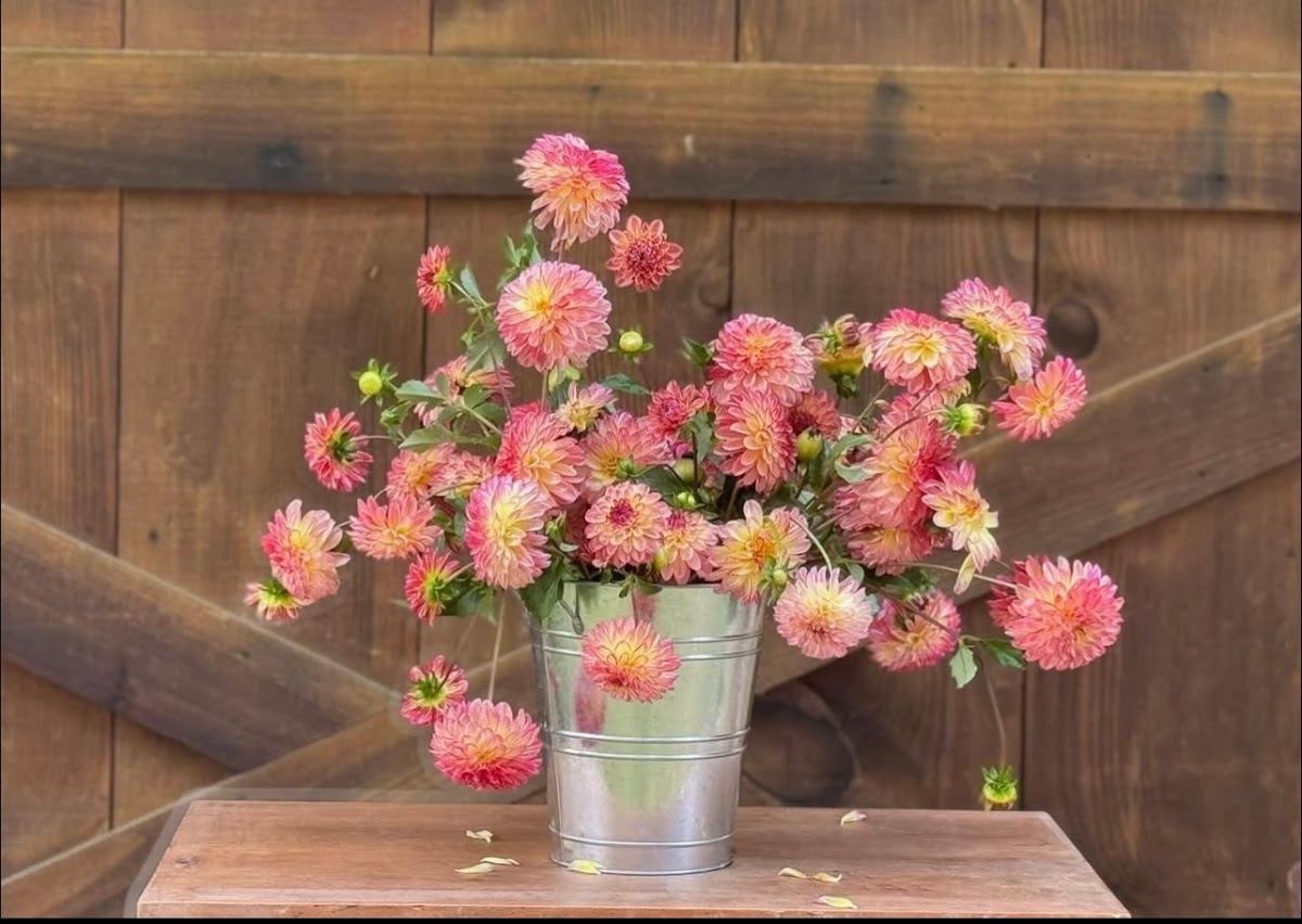 Valley Girl Flower Farm