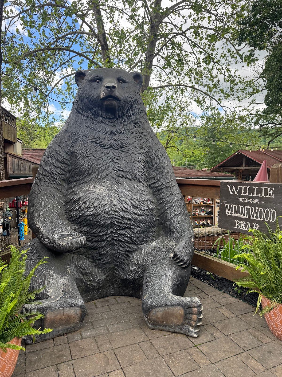 Willie The Wildewood Bear