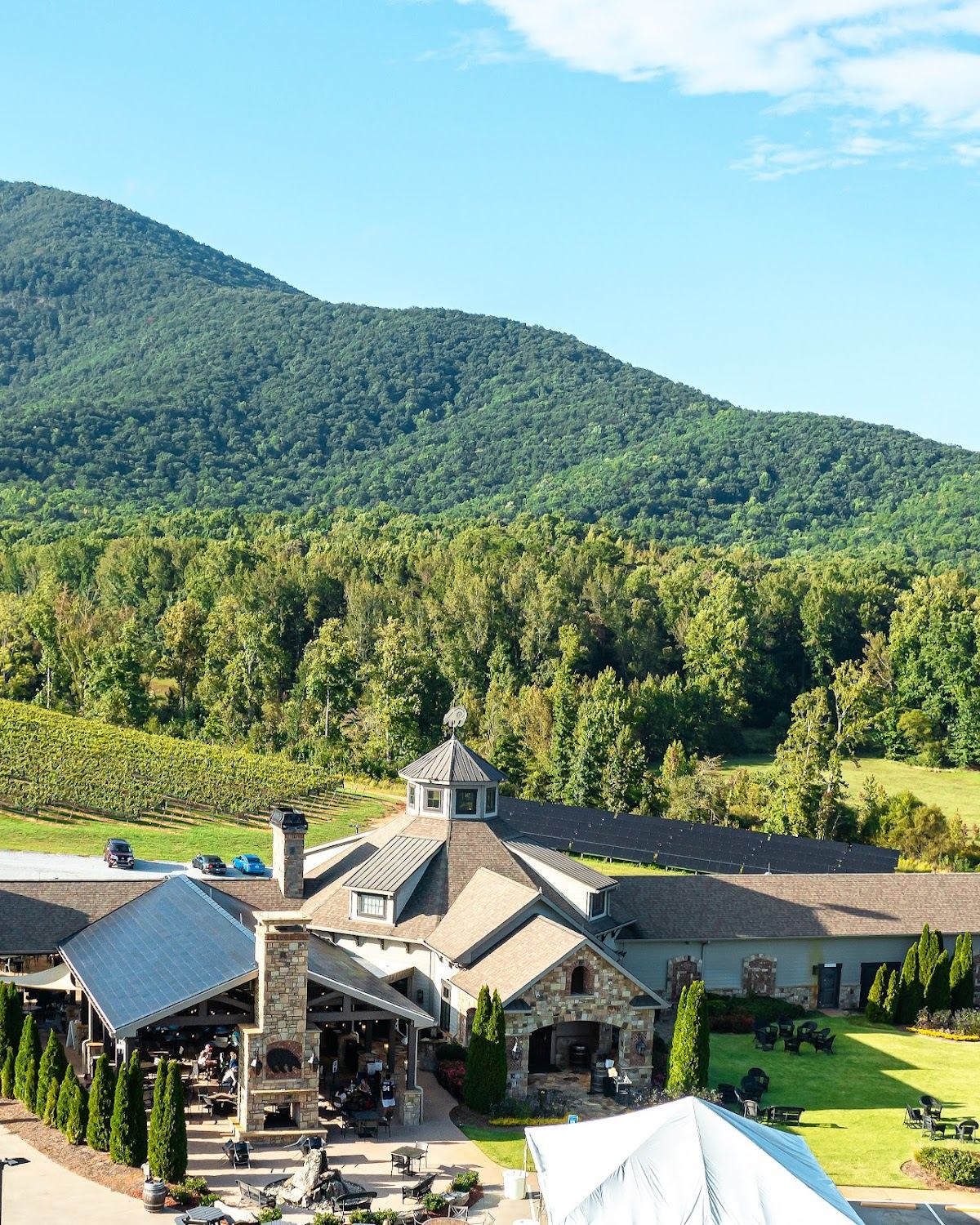 Yonah Mountain Vineyards