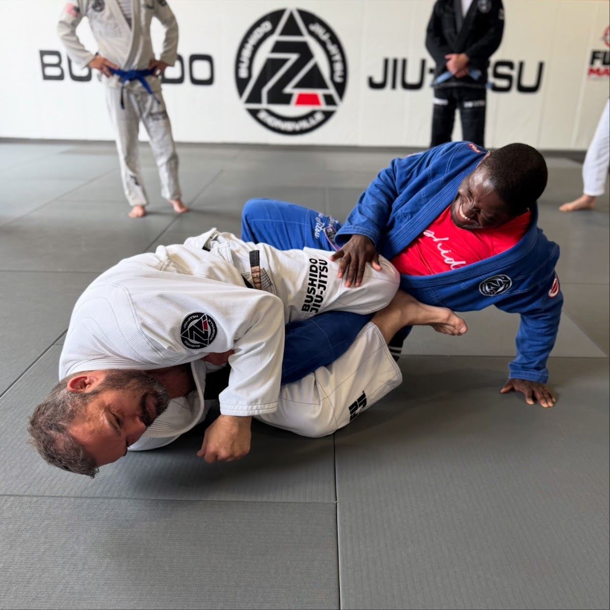 Bushido Jiu-Jitsu