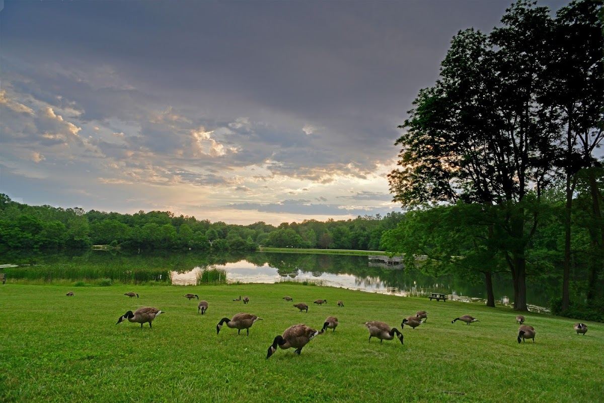 Fort Harrison State Park