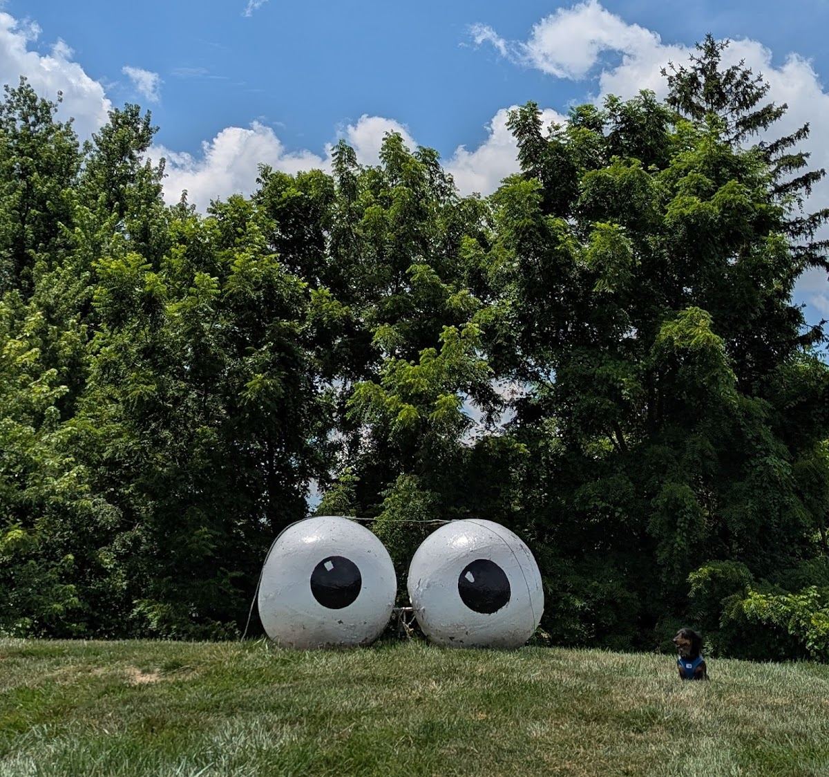 Googly Eyes